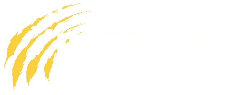 South Mornington Junior Football Club | SMJFC | Fottball Club | Mornington | South Mornington | Mornington Peninsula