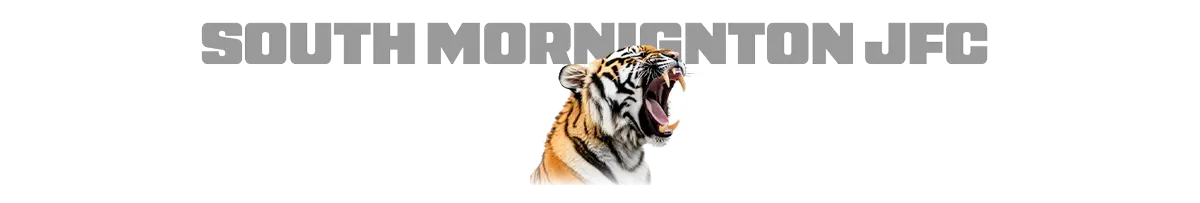 Tiger-merch-header